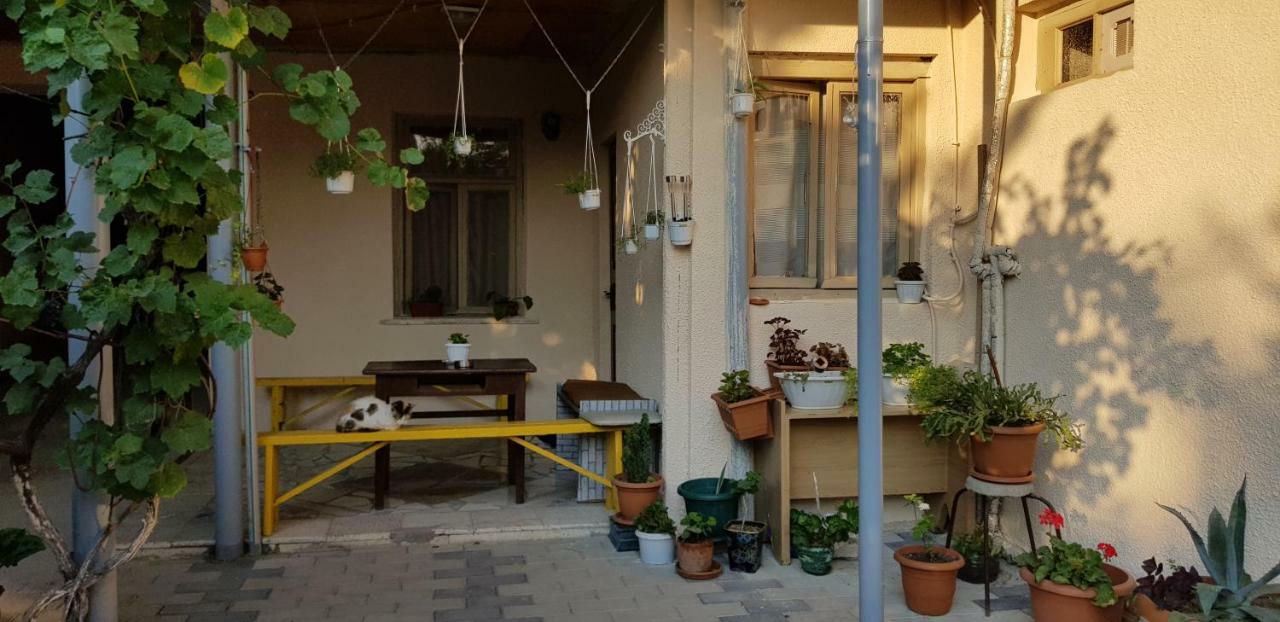 Домик У Реки Куры Tbilisi Bagian luar foto